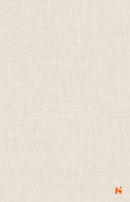 GreenLam 10ft x 4ft 1mm Laminates - 5566 - Clear Mesh