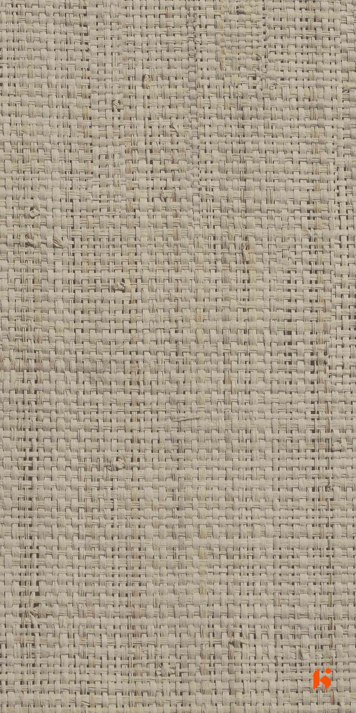 Century Laminates - 5828 - Rafia
