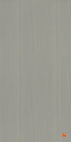 Saket Laminates - 597 - Ashwood Light