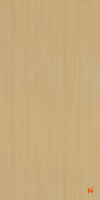 Saket Laminates - 598 - Ashwood Natural