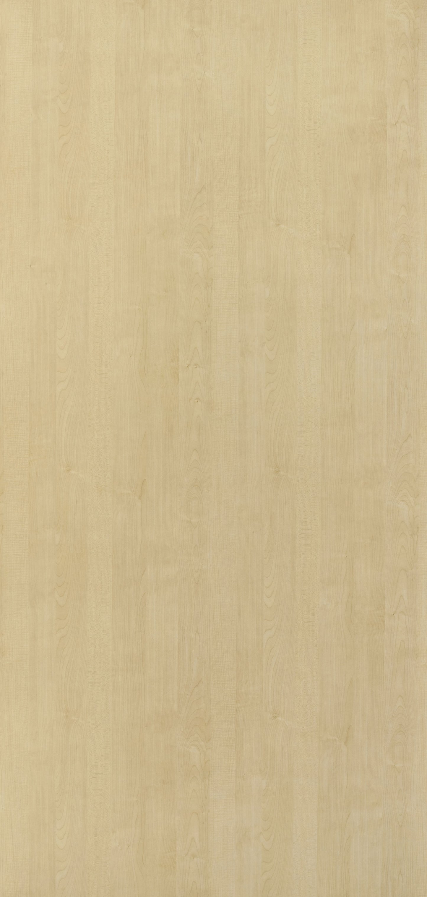 Greenlam Laminate 1mm - 683 - Golden Maple