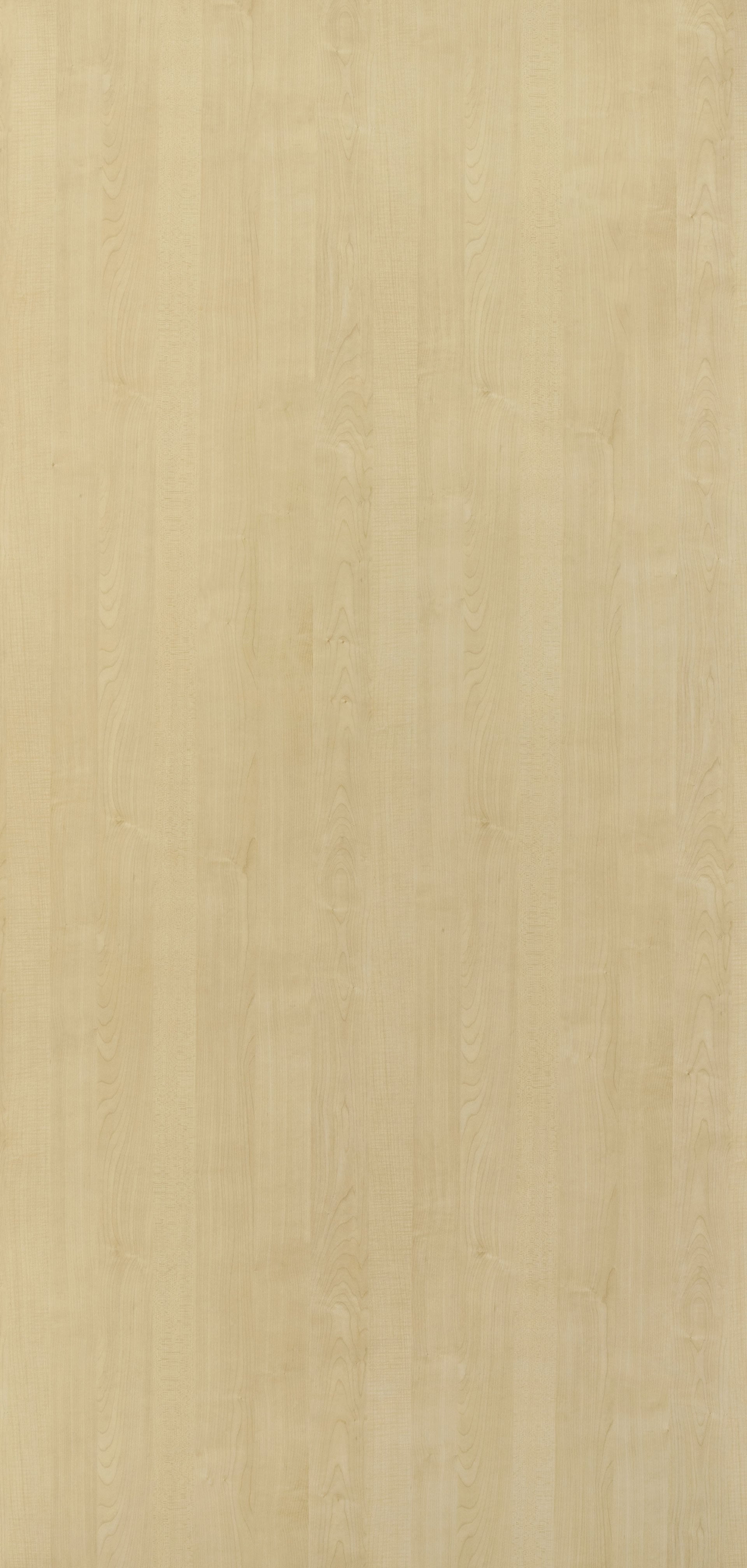 Greenlam Laminate 1mm - 683 - Golden Maple