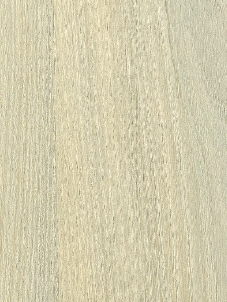 Century Prowud Prelam Particle Board - 706 - Acacia
