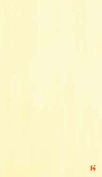 GreenLam 10ft x 4ft 1mm Laminates - 770 - Douglas Fur