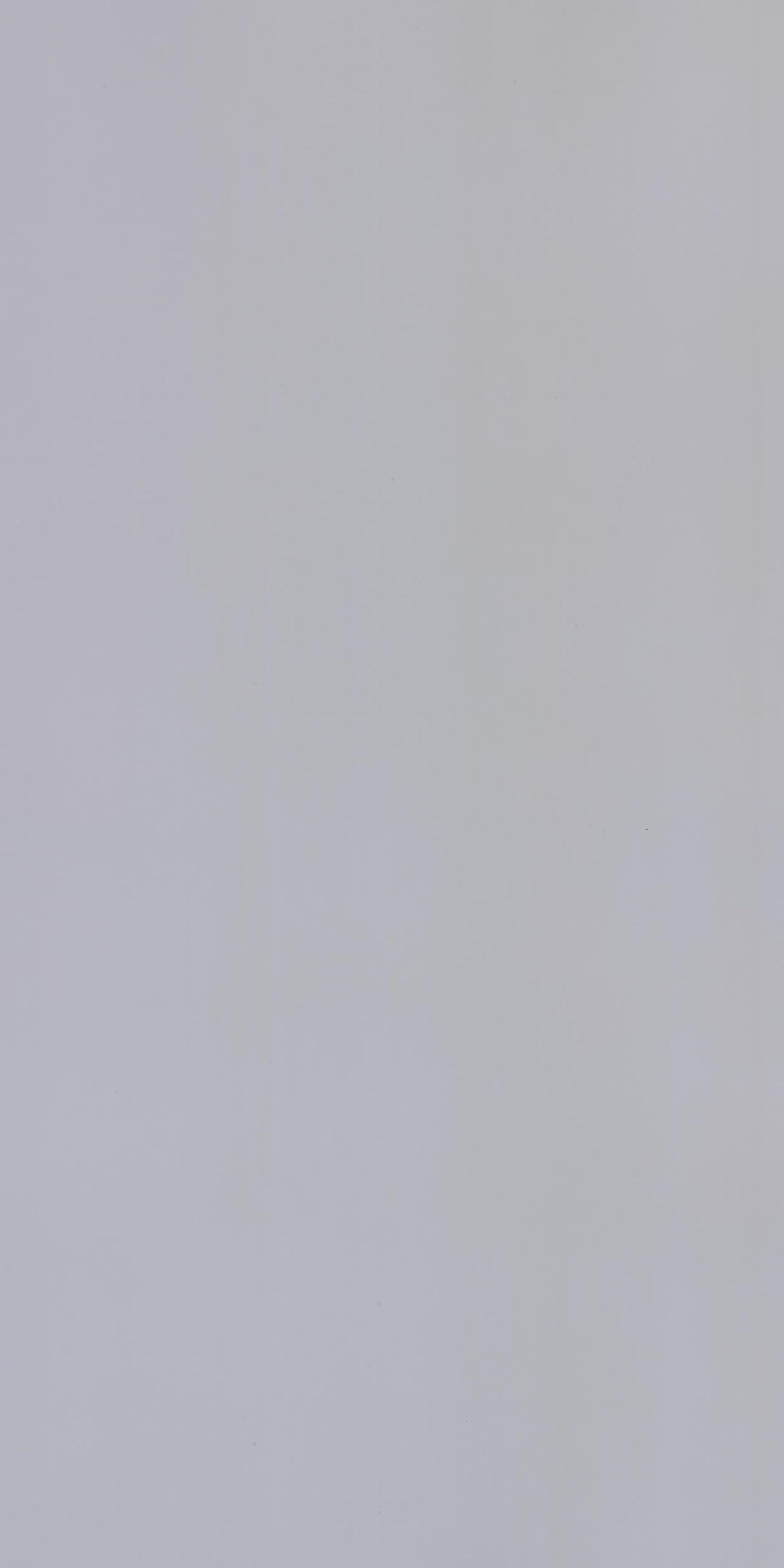 Century 0.8mm Laminate 80101 White