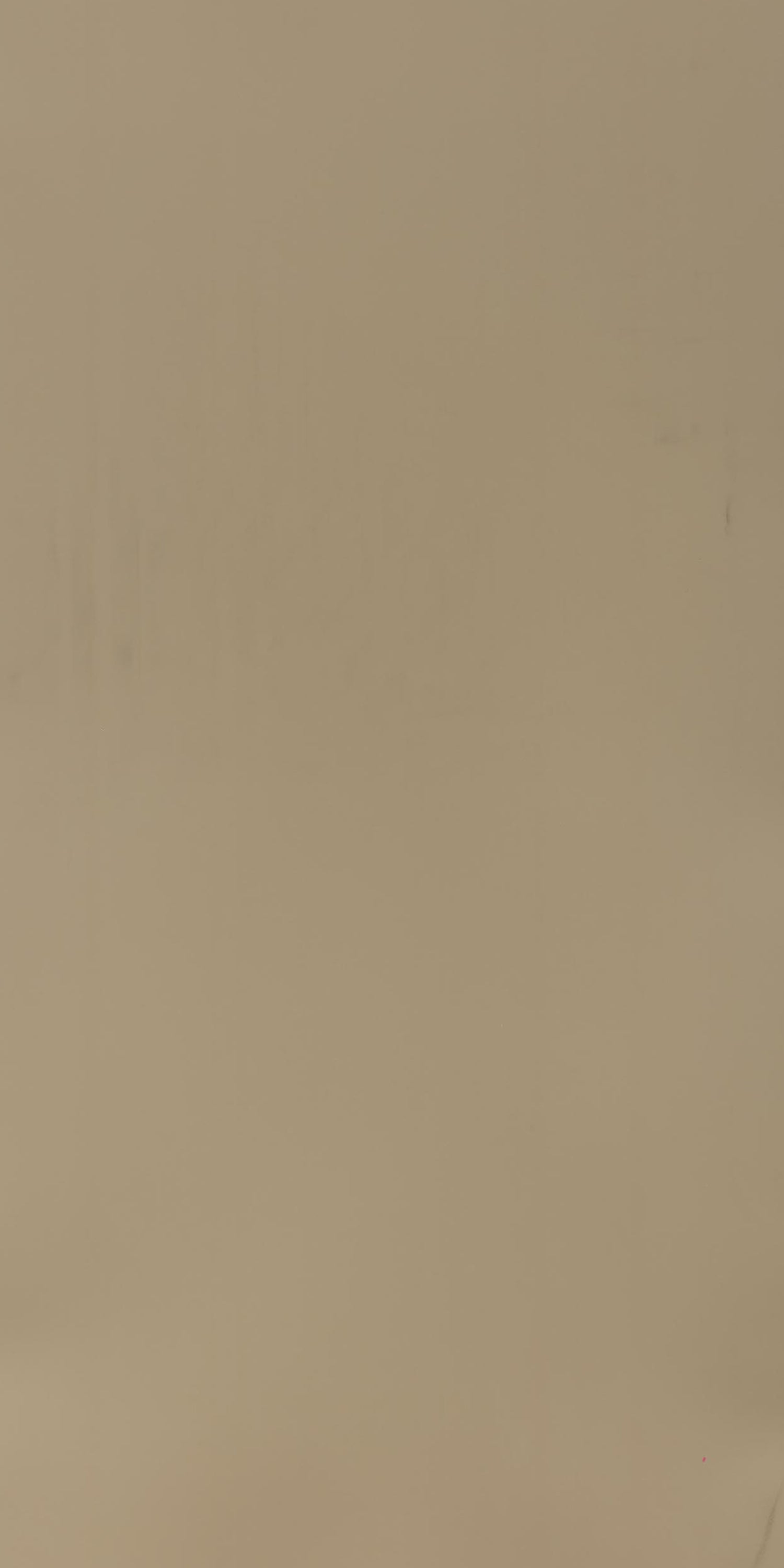 Century 0.8mm Laminate 80167 Ornate Beige