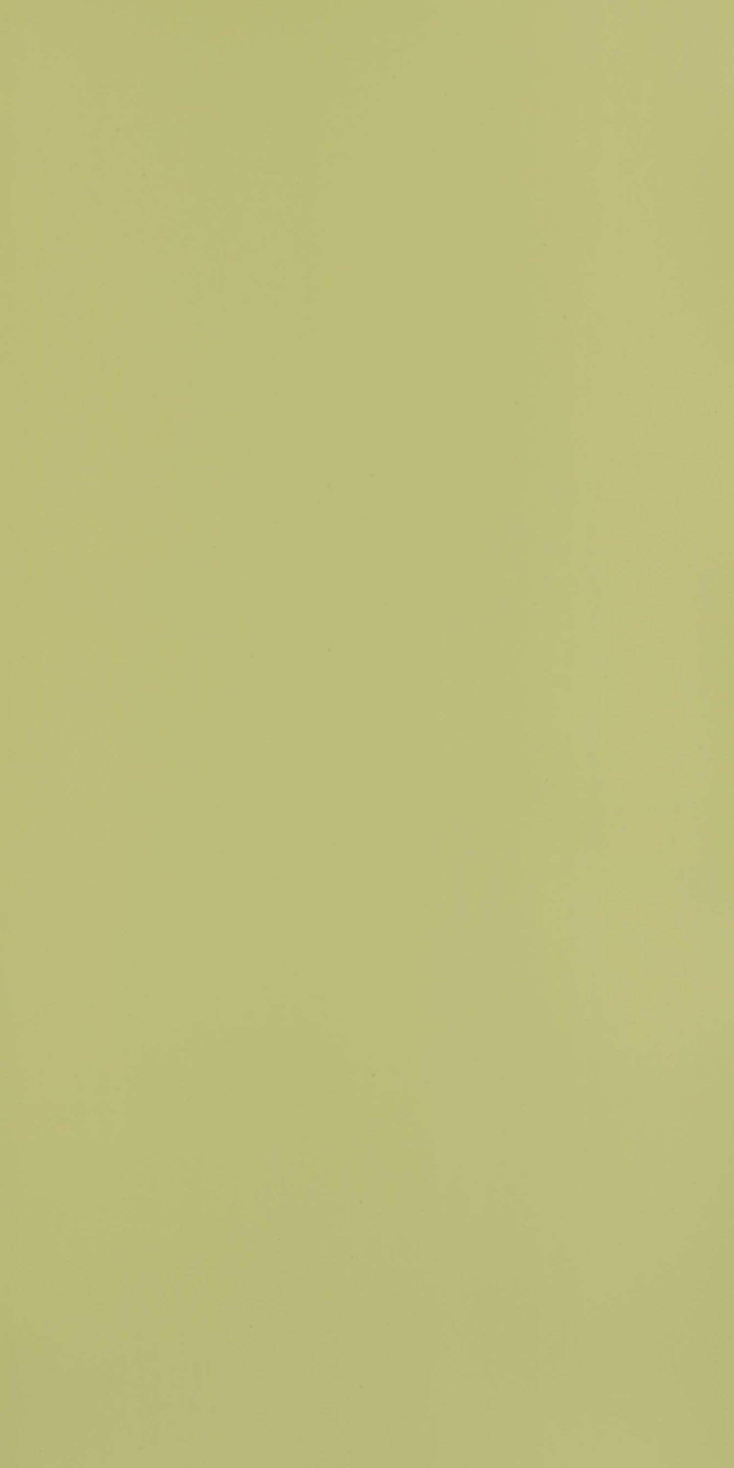 Century 0.8mm Laminate 80204 Chiffon