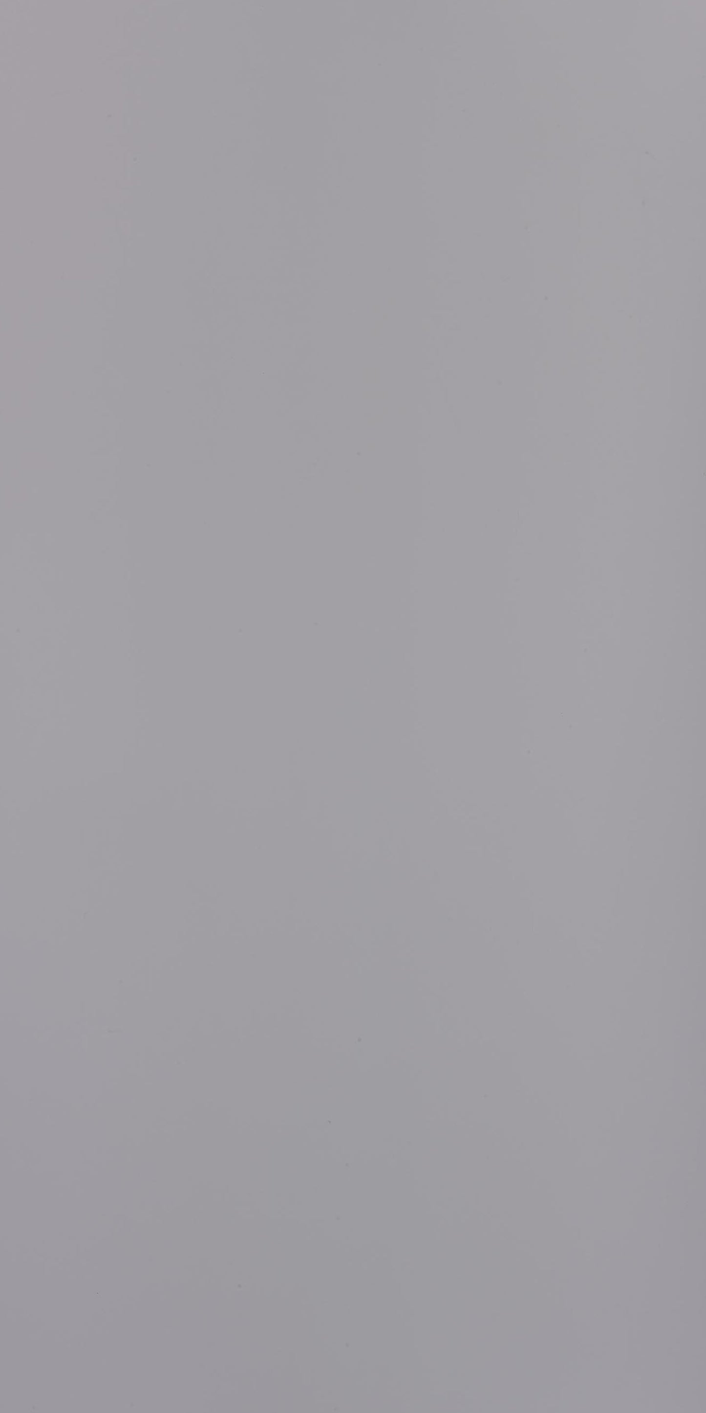 Century 0.8mm Laminate 80225 Silver Grey