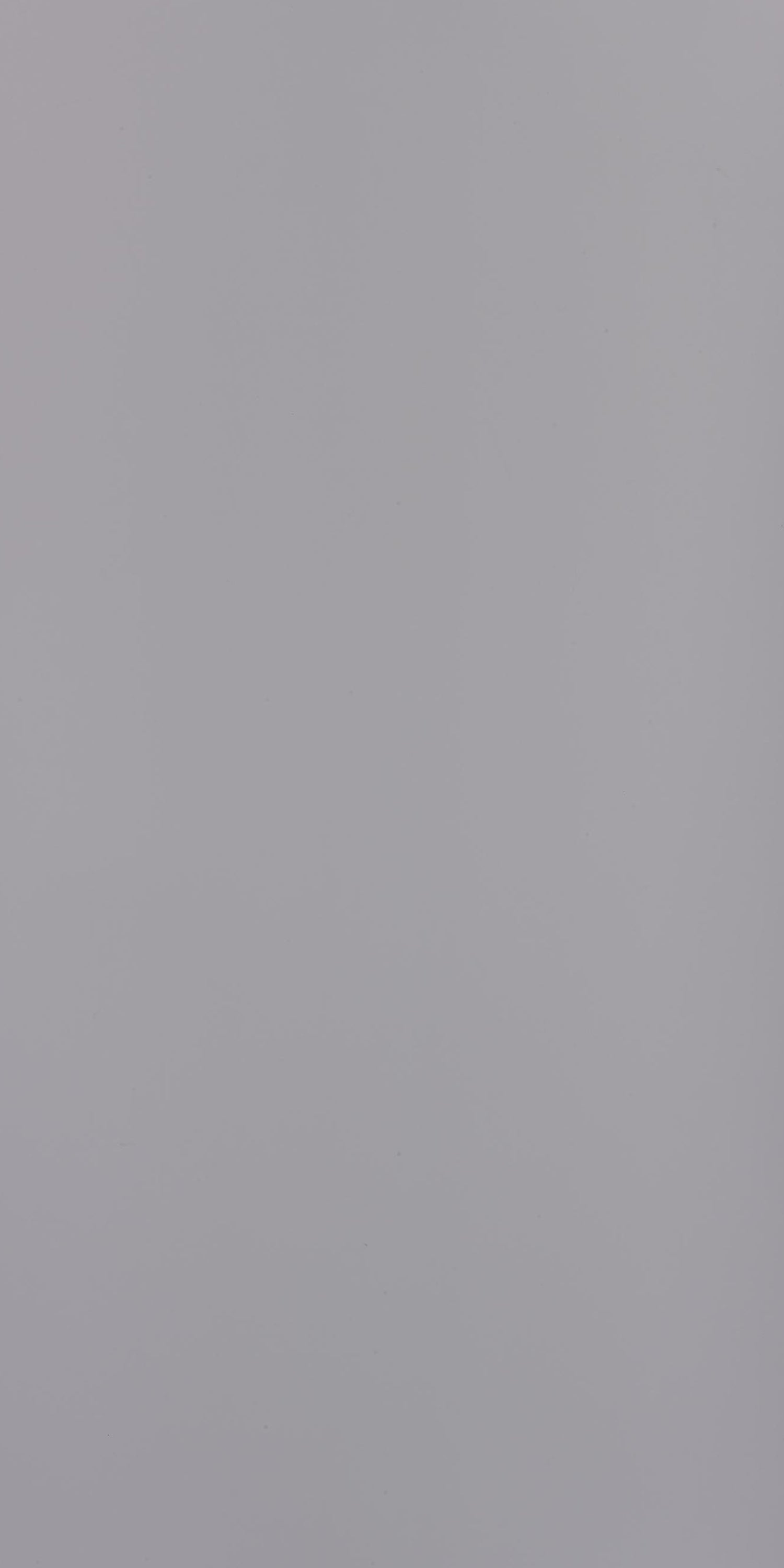 Century 0.8mm Laminate 80225 Silver Grey