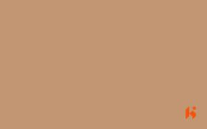 Stylam Laminate - 8203 - Khakhi
