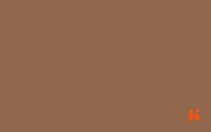Stylam Laminate - 8225 - Copper Brown