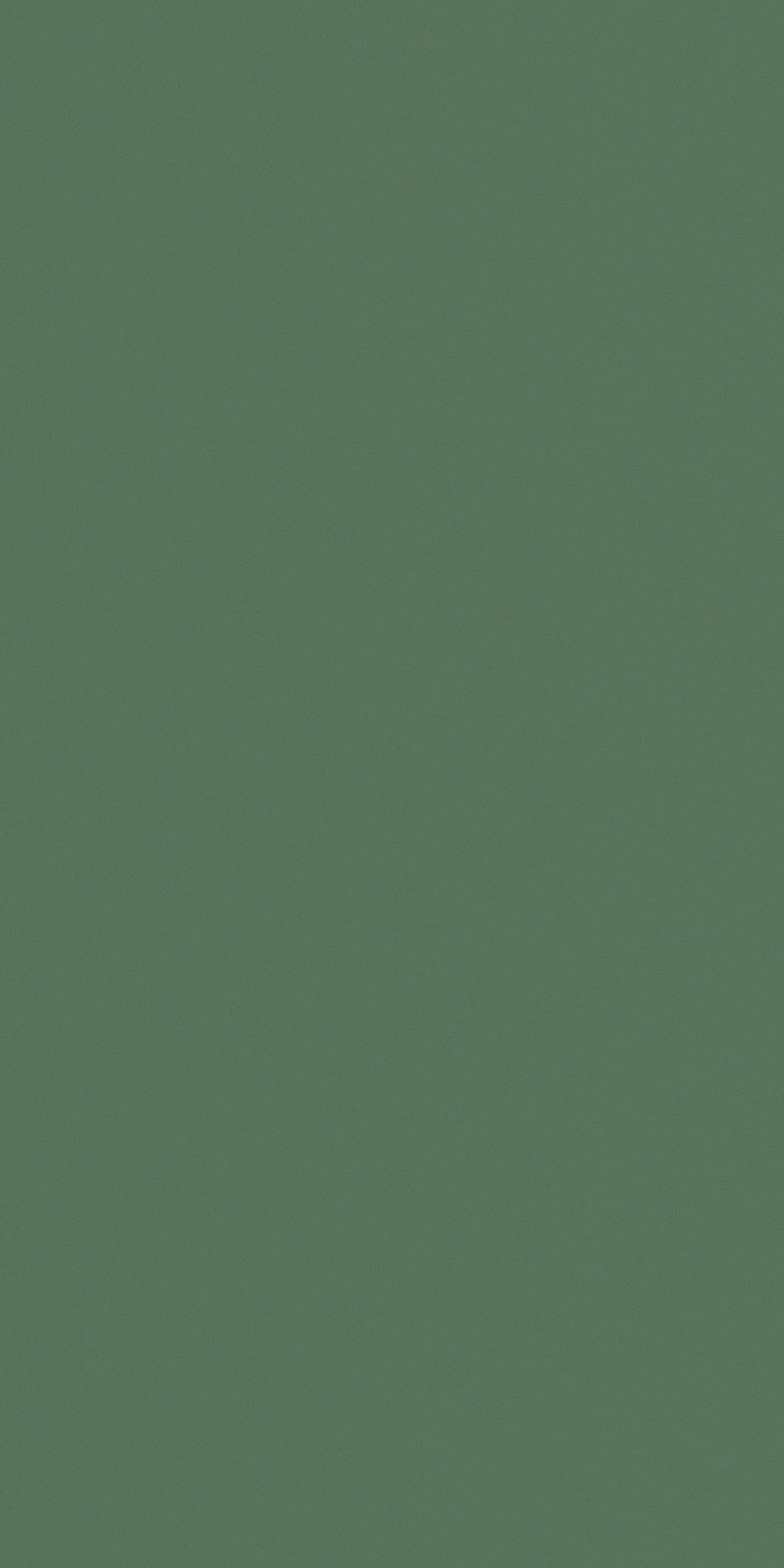 Century 0.8mm Laminate 83273 Mint