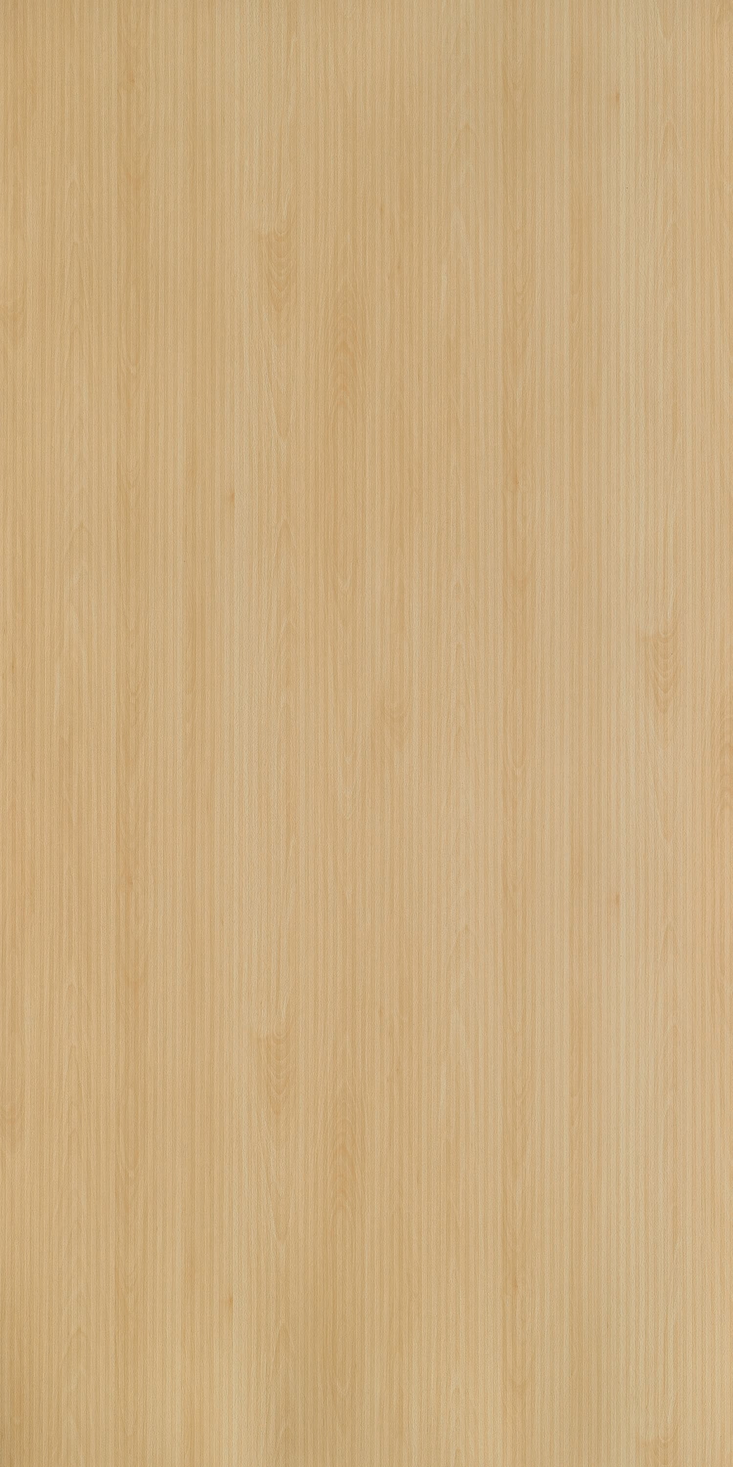 Century 0.8mm Laminate 83324 Mangful Beech