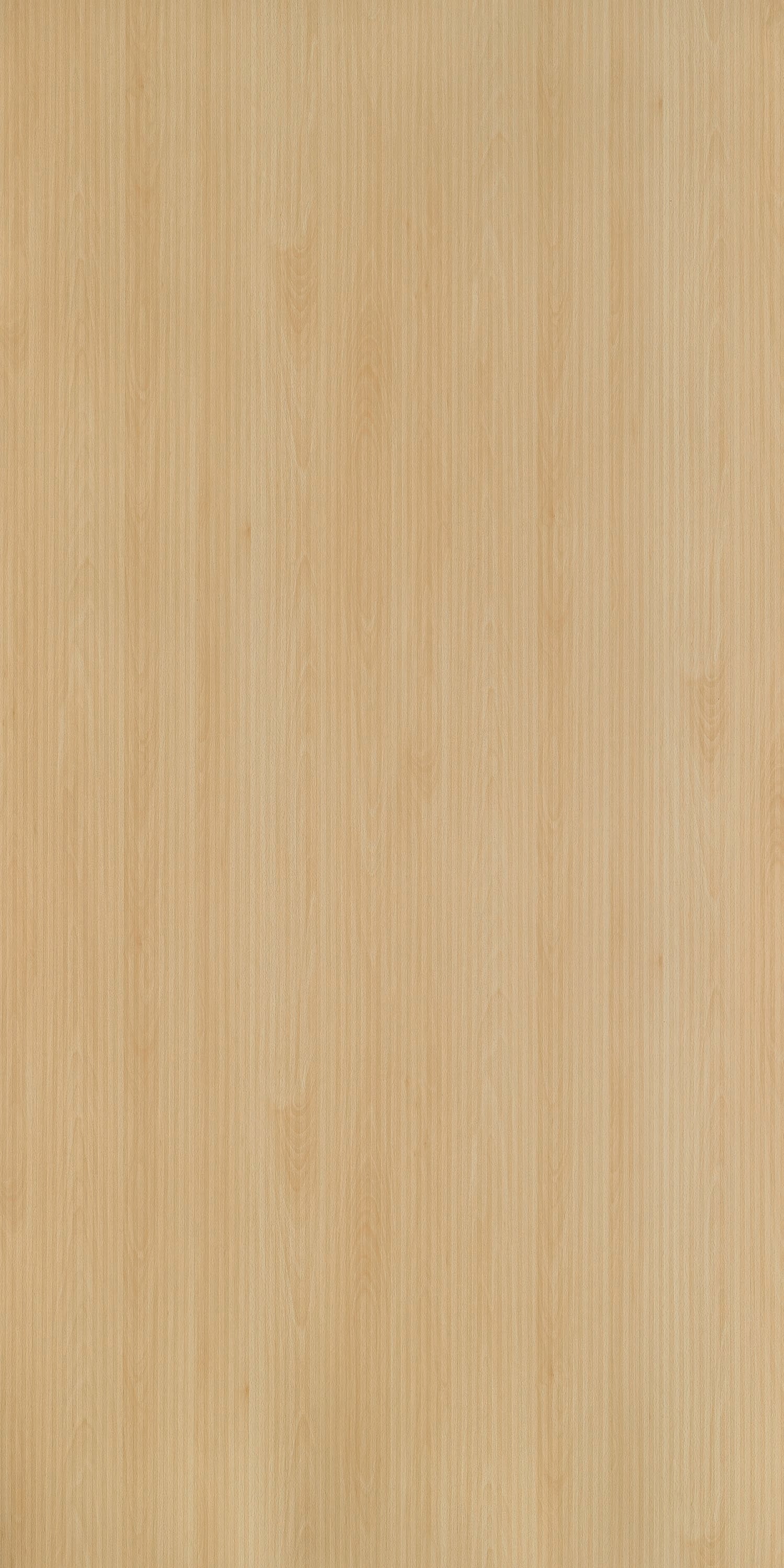 Century 0.8mm Laminate 83324 Mangful Beech