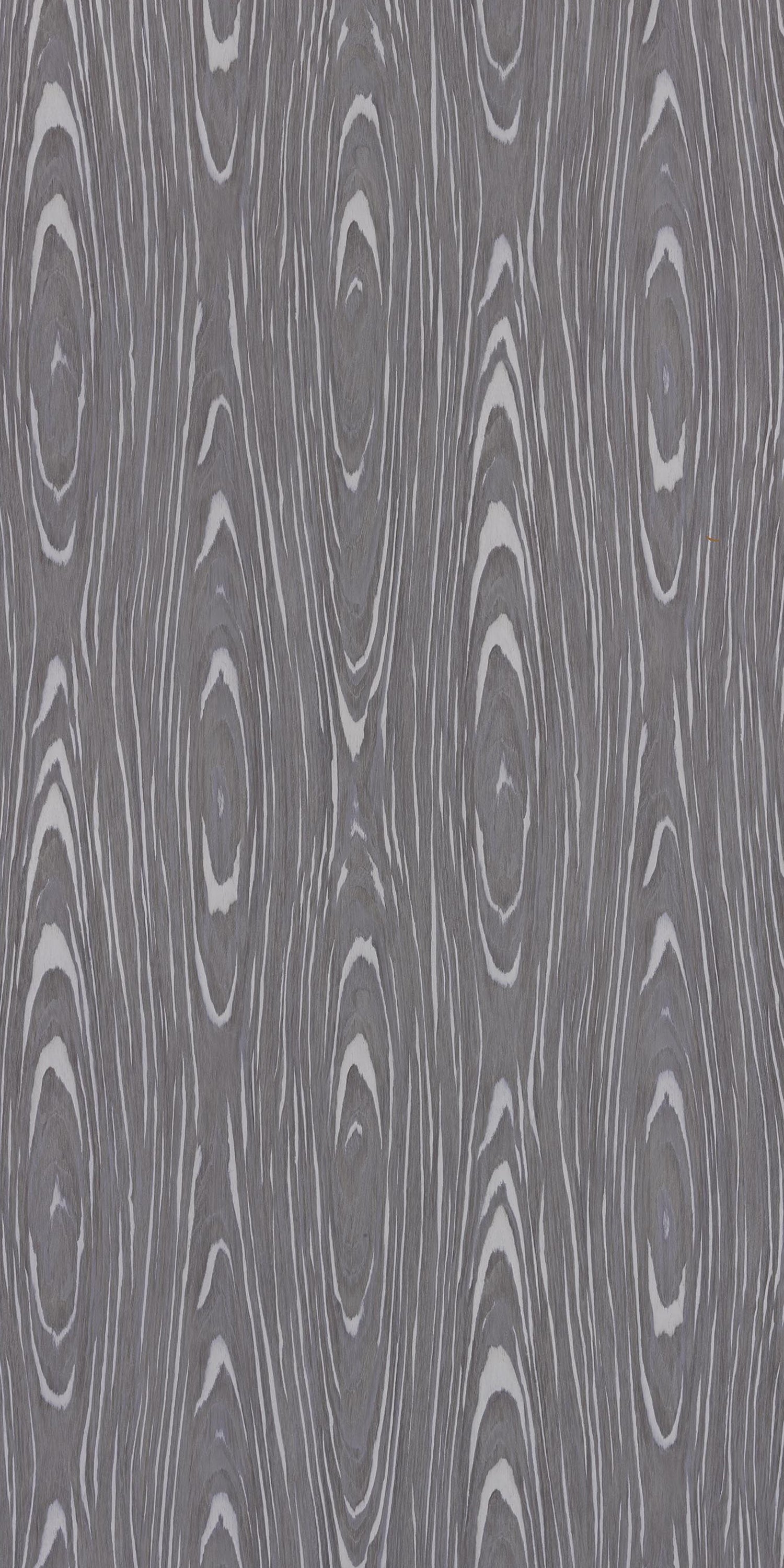 Century 0.8mm Laminate 83456 Asche Radisa