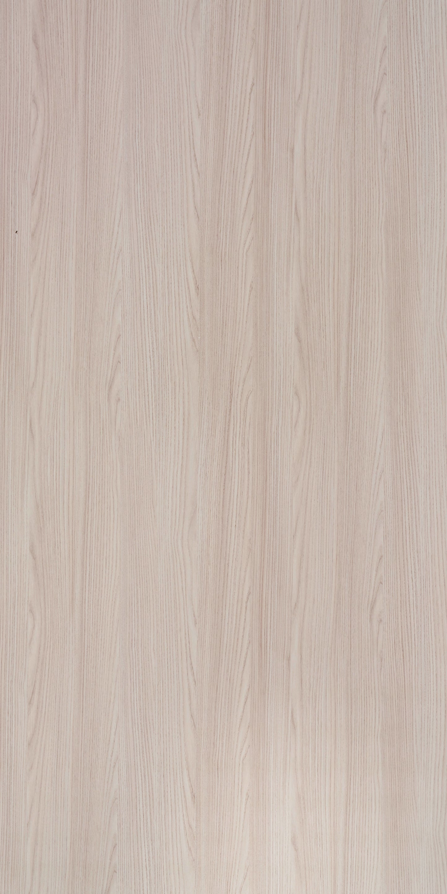 Century 0.8mm Laminate 83767 Ningbo Elm