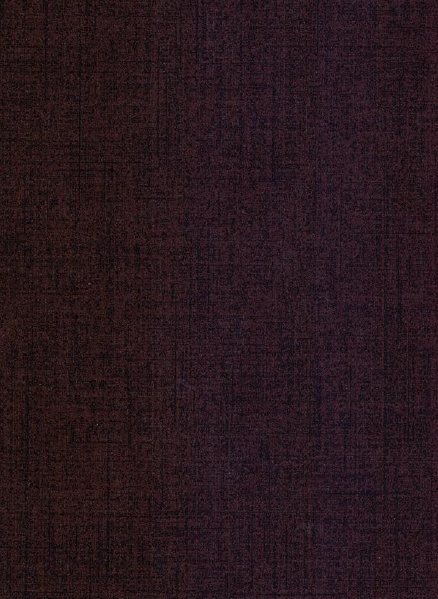 Century Prowud Prelam Particle Board - 859 - Magic Beans