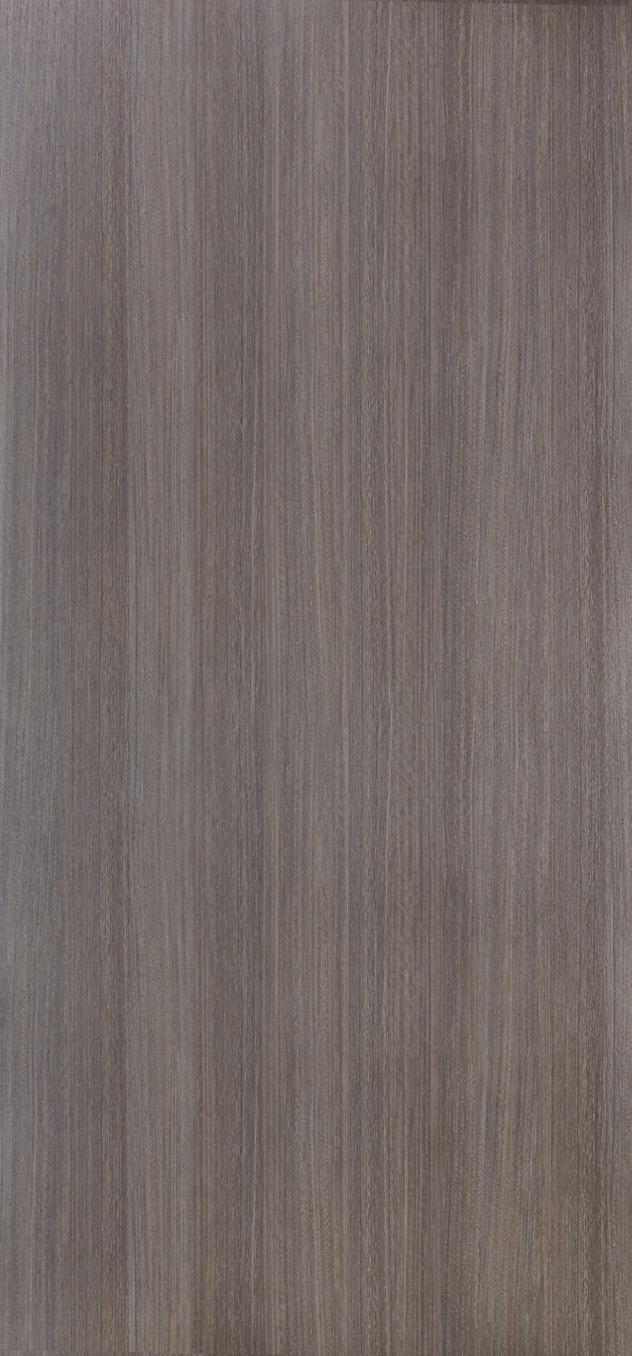 Dorby Laminates-1562-African Satin