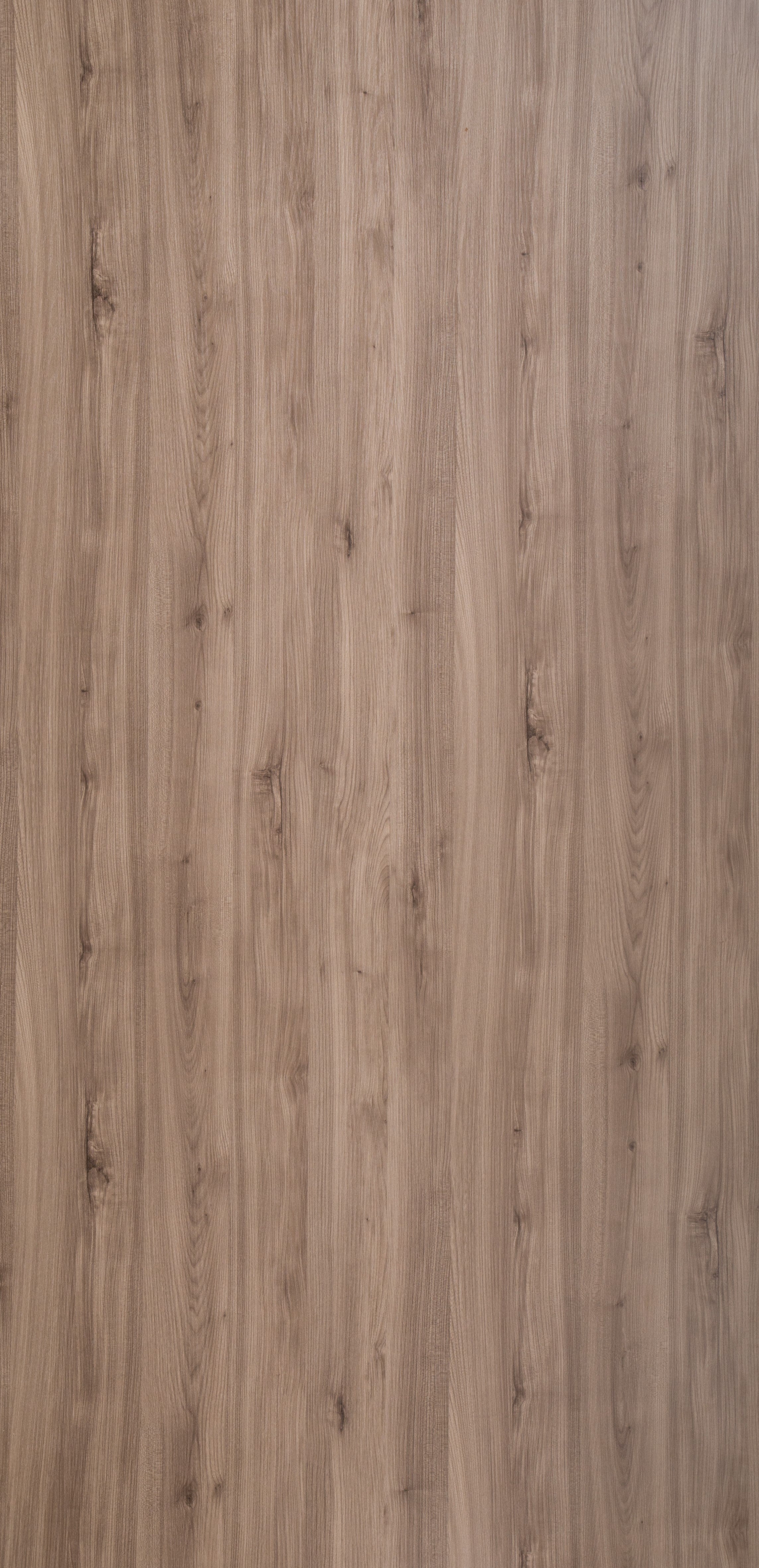 Dorby Laminates-1555-Arizona Oak