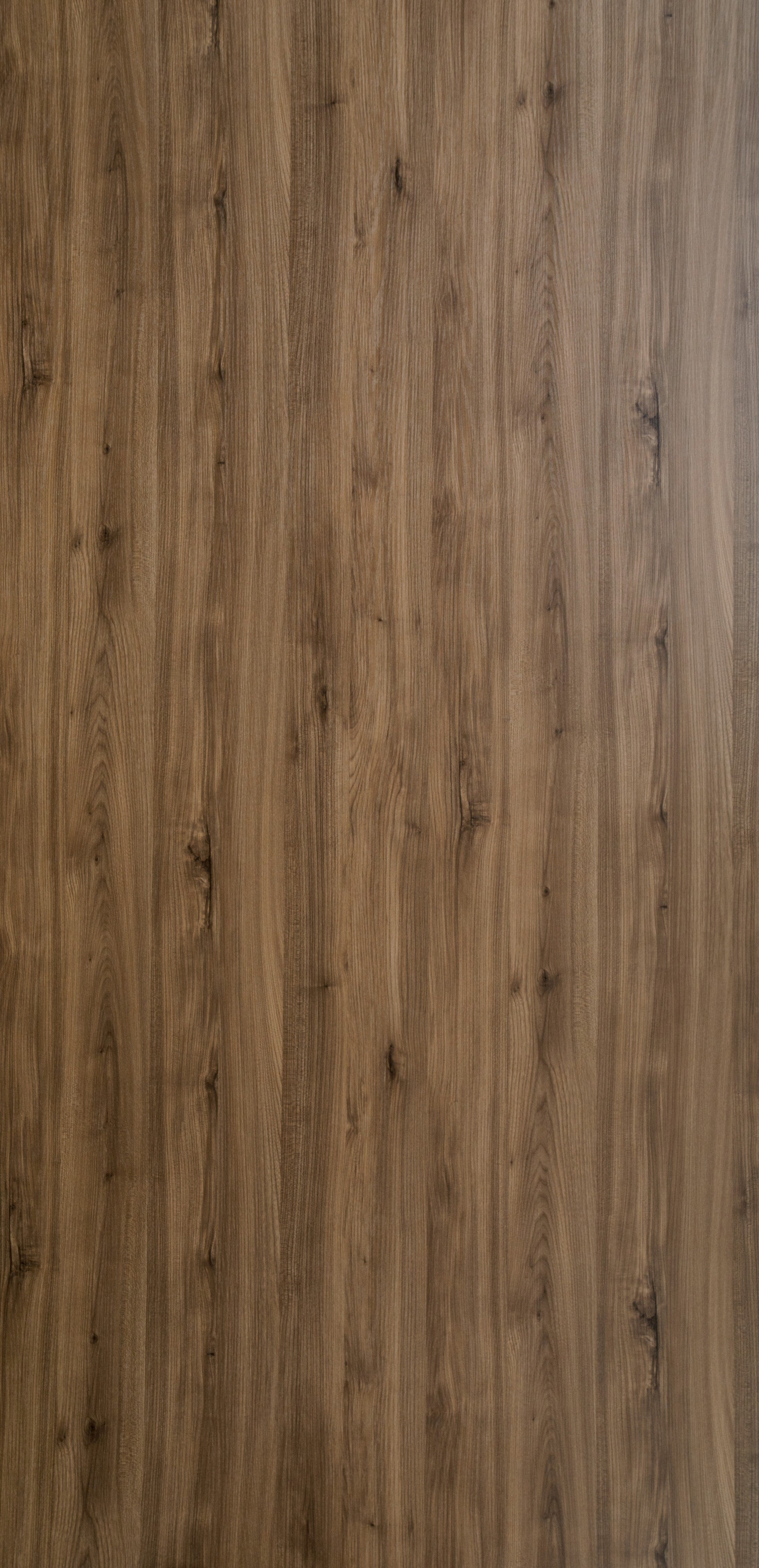 Dorby Laminates-1556-Arizona Oak