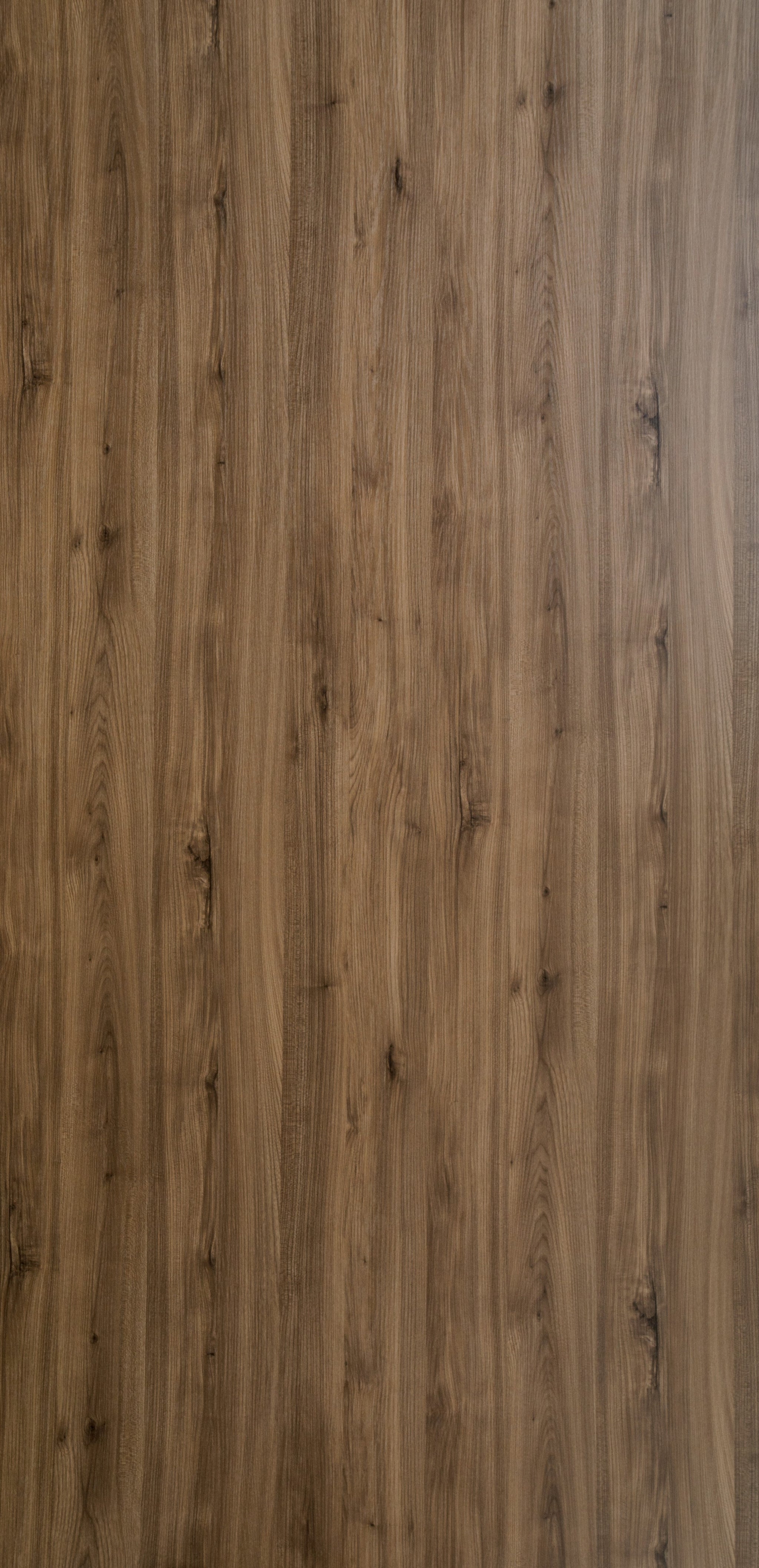 Dorby Laminates-1556-Arizona Oak