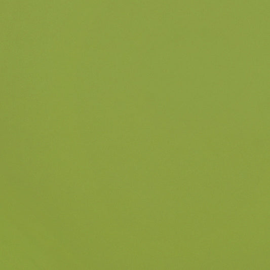Aica Sunmica Sakura - G 487/1487 - Grass Green - 1mm 8ft x 4ft