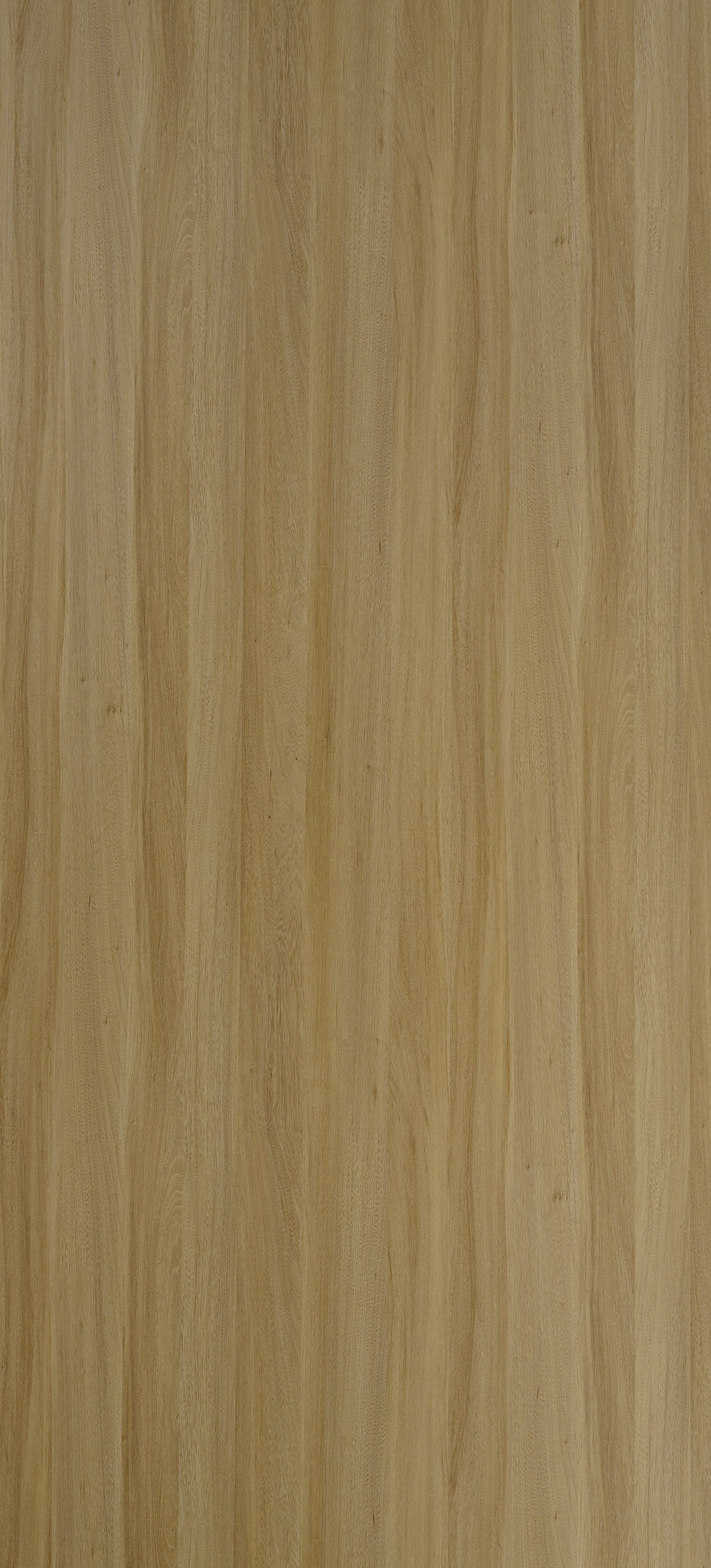 Dorby Laminates-1176-Golden Walnut