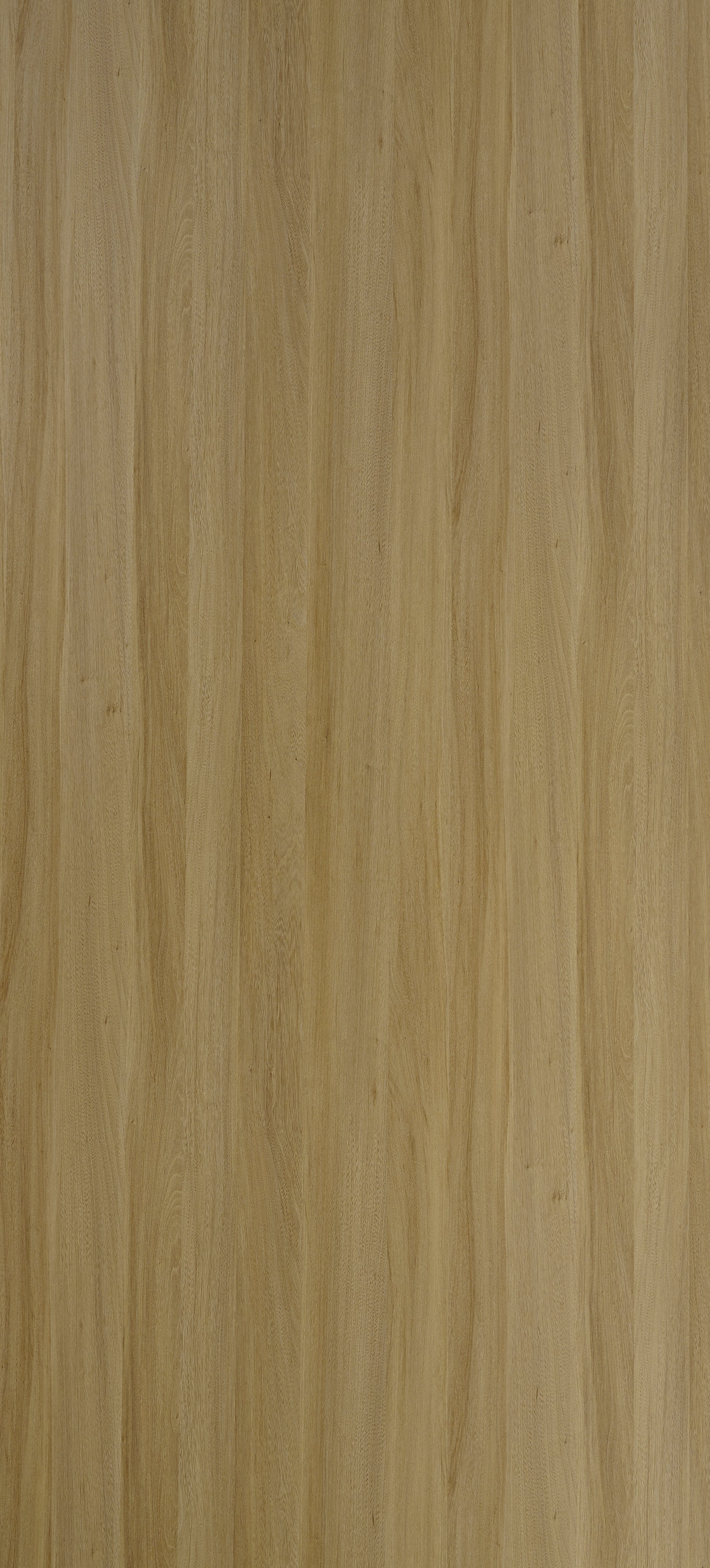 Dorby Laminates-1176-Golden Walnut