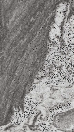 Khidki Acrylic 1.5mm 8ftx4ft - KA-4007