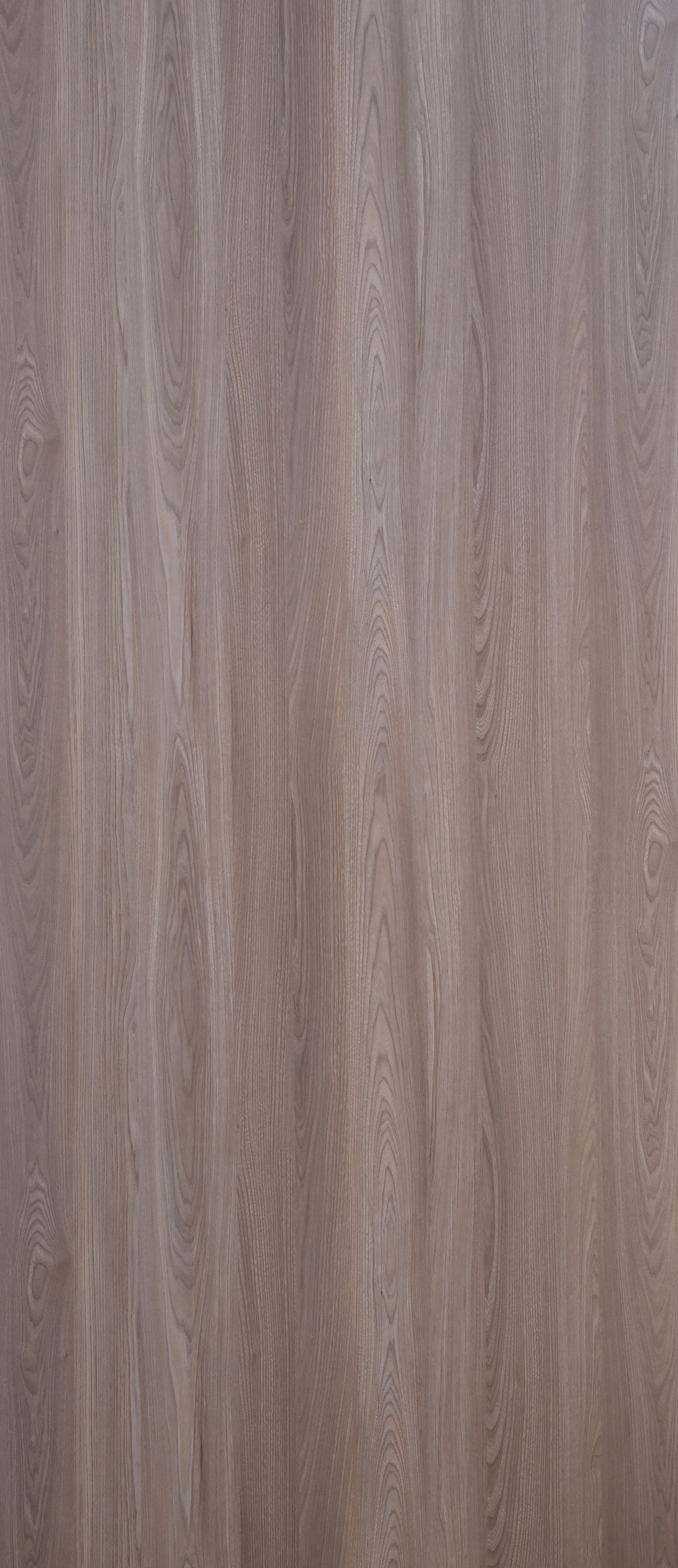 Dorby Laminates-1569-Live Walnut