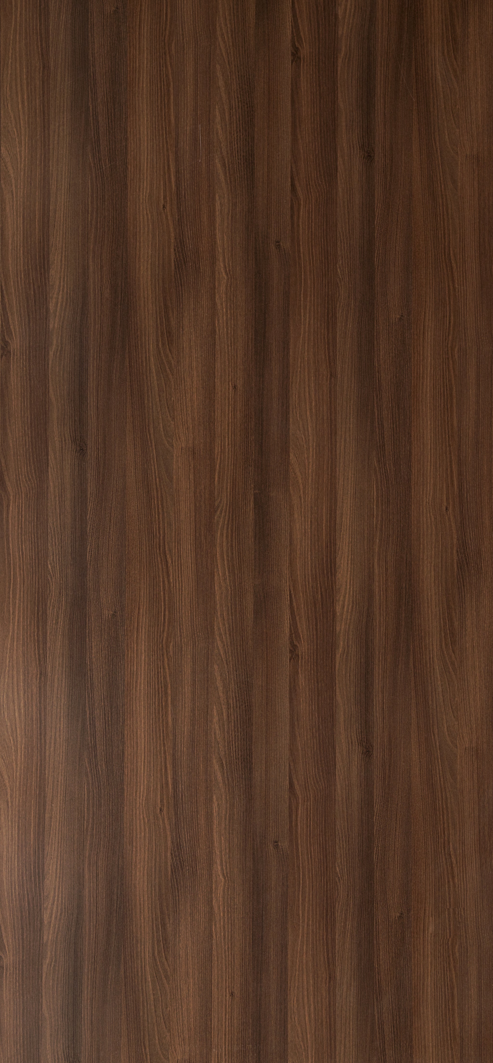 Dorby Laminates-1523-Moldau Acacia