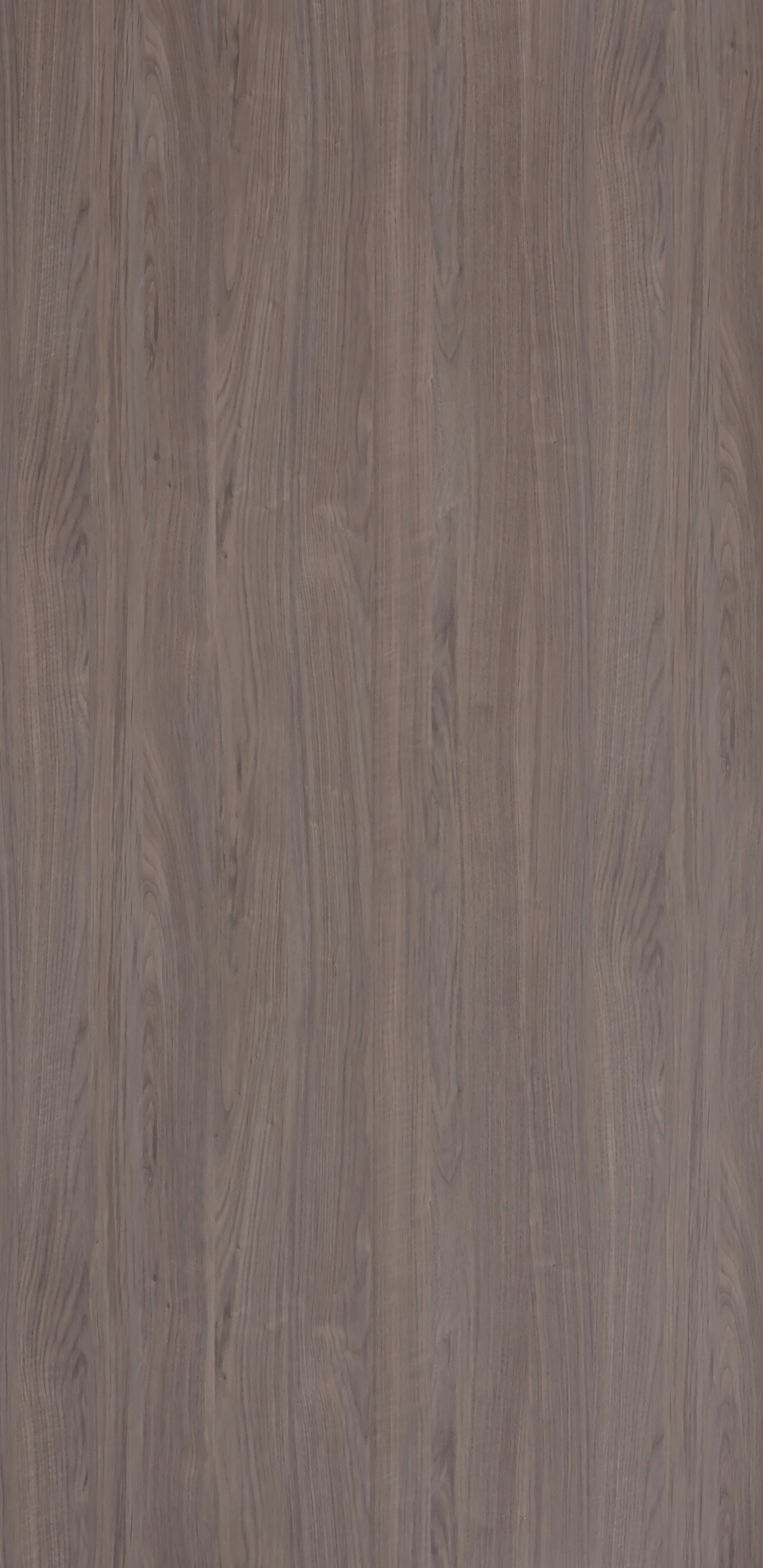 Dorby Laminates-15403-Noce Walnut
