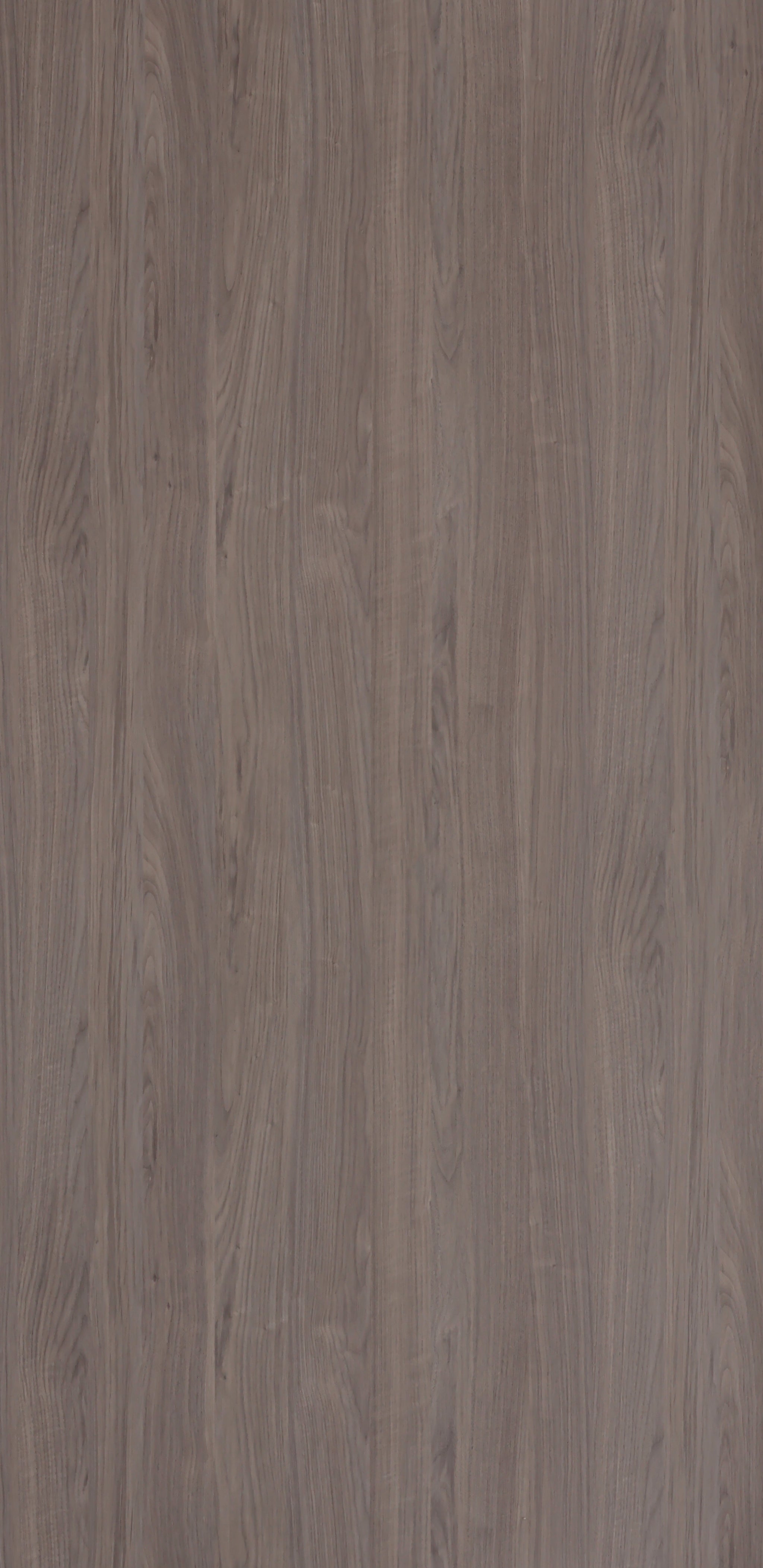 Dorby Laminates-15403-Noce Walnut