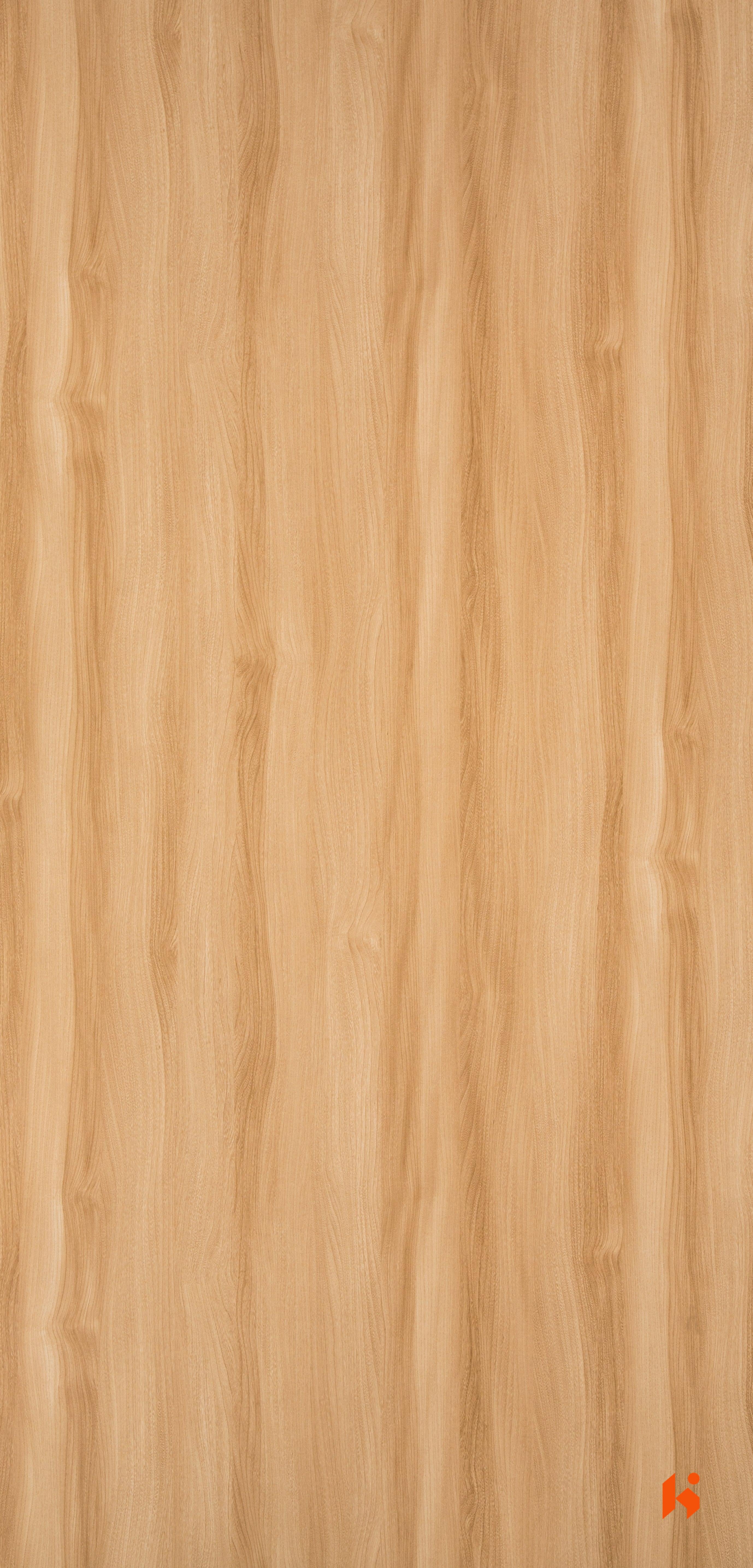 Dorby Laminates-1101-Radiance Elm