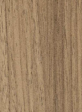 Virgo Mica - 6919 - Koto