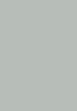 Virgo Mica - 1001 - Pearl Grey