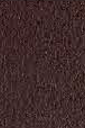 GreenLam New Point Eight Laminates - 7112 - Mud Brown
