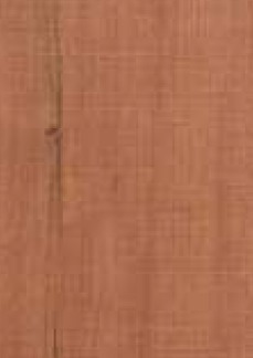 Dorby Laminates-1595-Forest Wood-1mm 8ft x 4ft