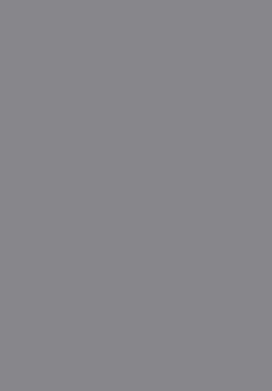 Finetouch Laminate 1mm - 121 - Intercostal
