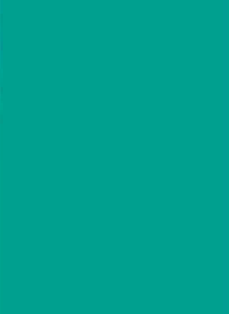 Virgo Abco Mica 1mm - 9167 - Sambre