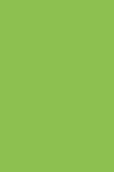 Virgo Abco Mica 1mm - 9107 - Super Green