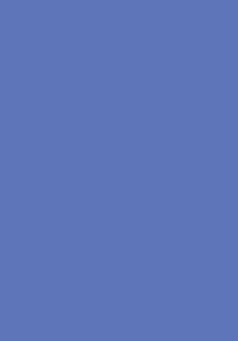 Virgo Mica - 1028 - Parker Blue