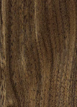 Virgo Mica - 6505 - Sari Walnut Brown