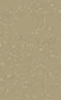 Pebble Acrylic Laminate 1.5mm - 1525 - Mellow Gold