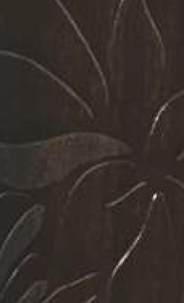 Virgo Croma Plus 0.8 laminates - 2978 - Toros