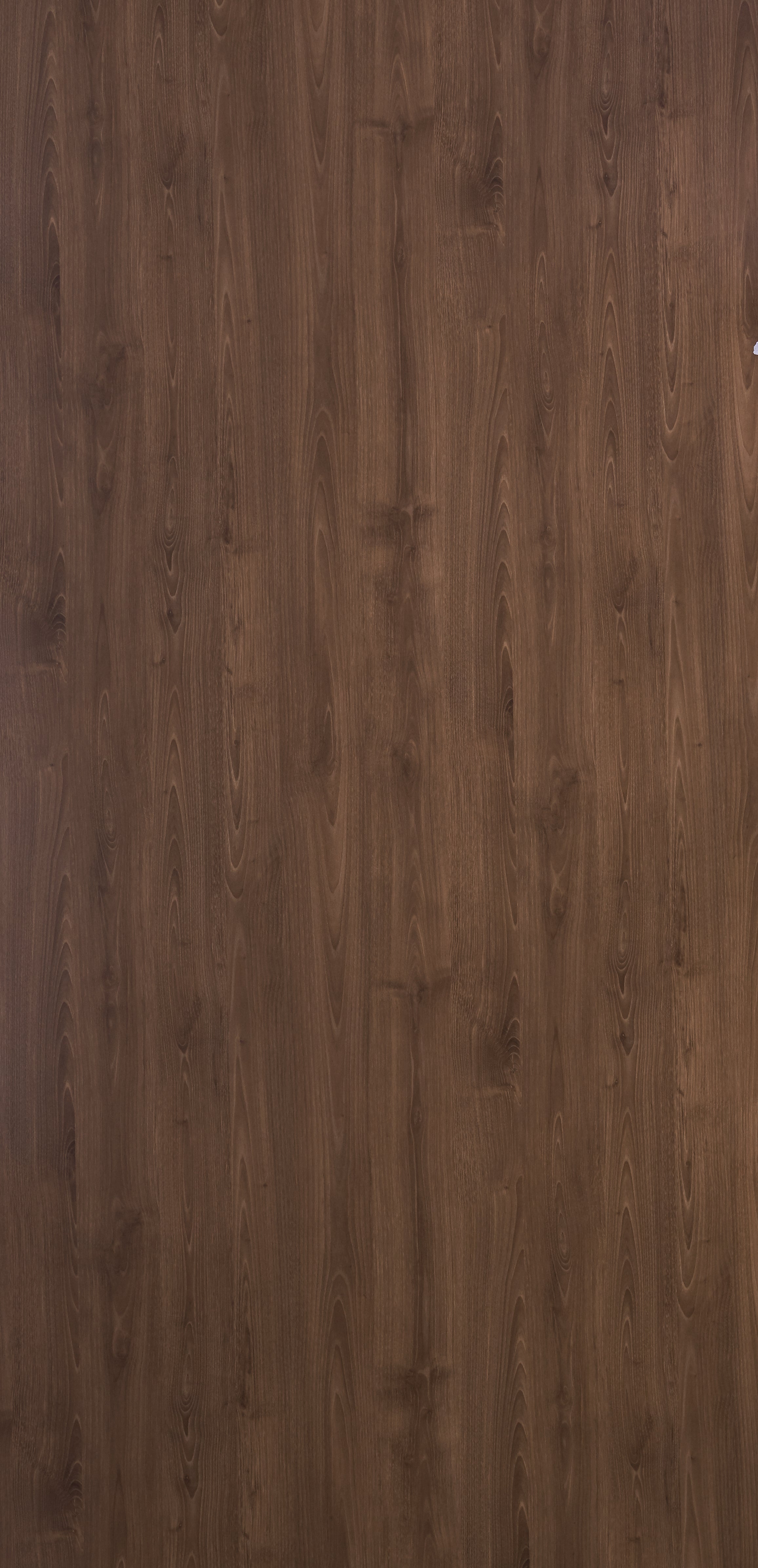 Dorby Laminates-1559-Sherwood Walnut