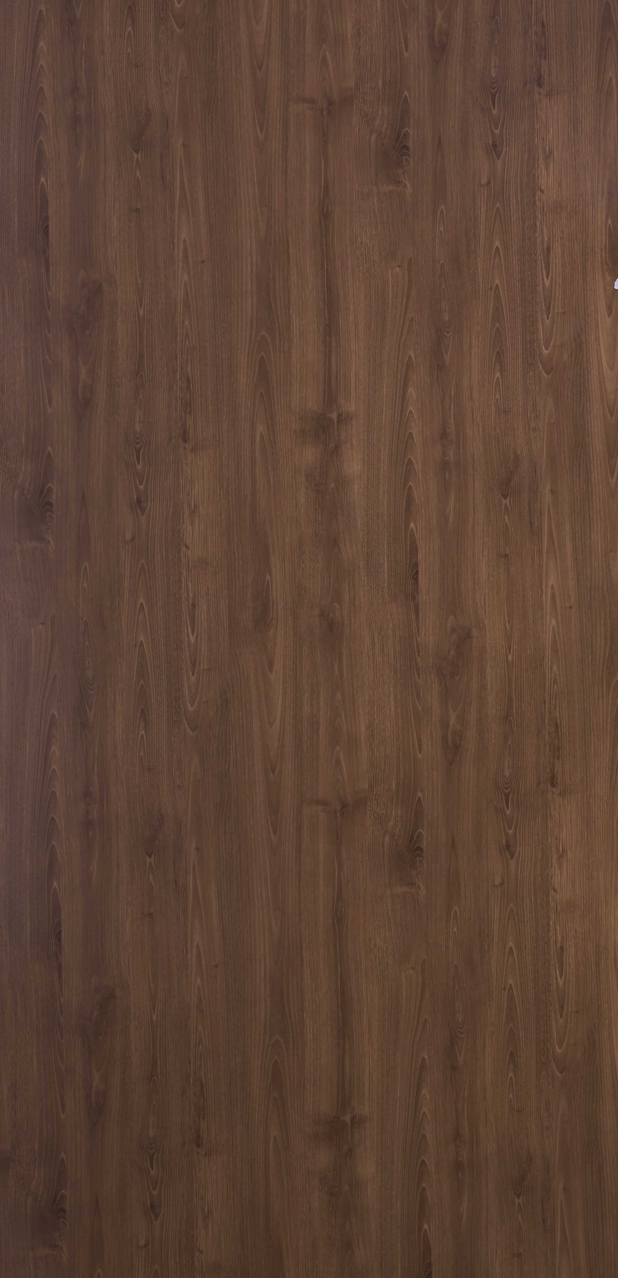 Dorby Laminates-1559-Sherwood Walnut