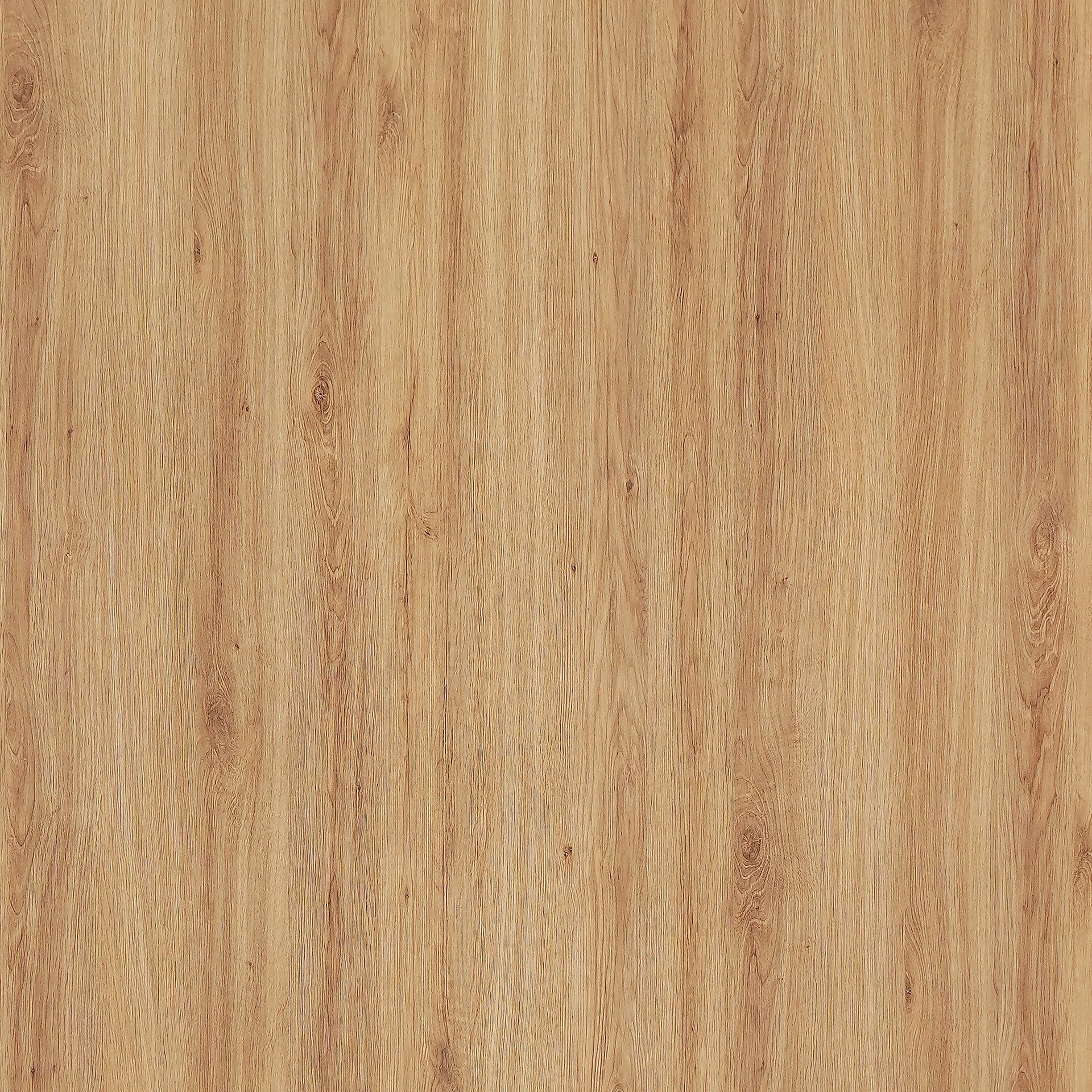 WP190_20SF_358cea1b-0eff-49e8-