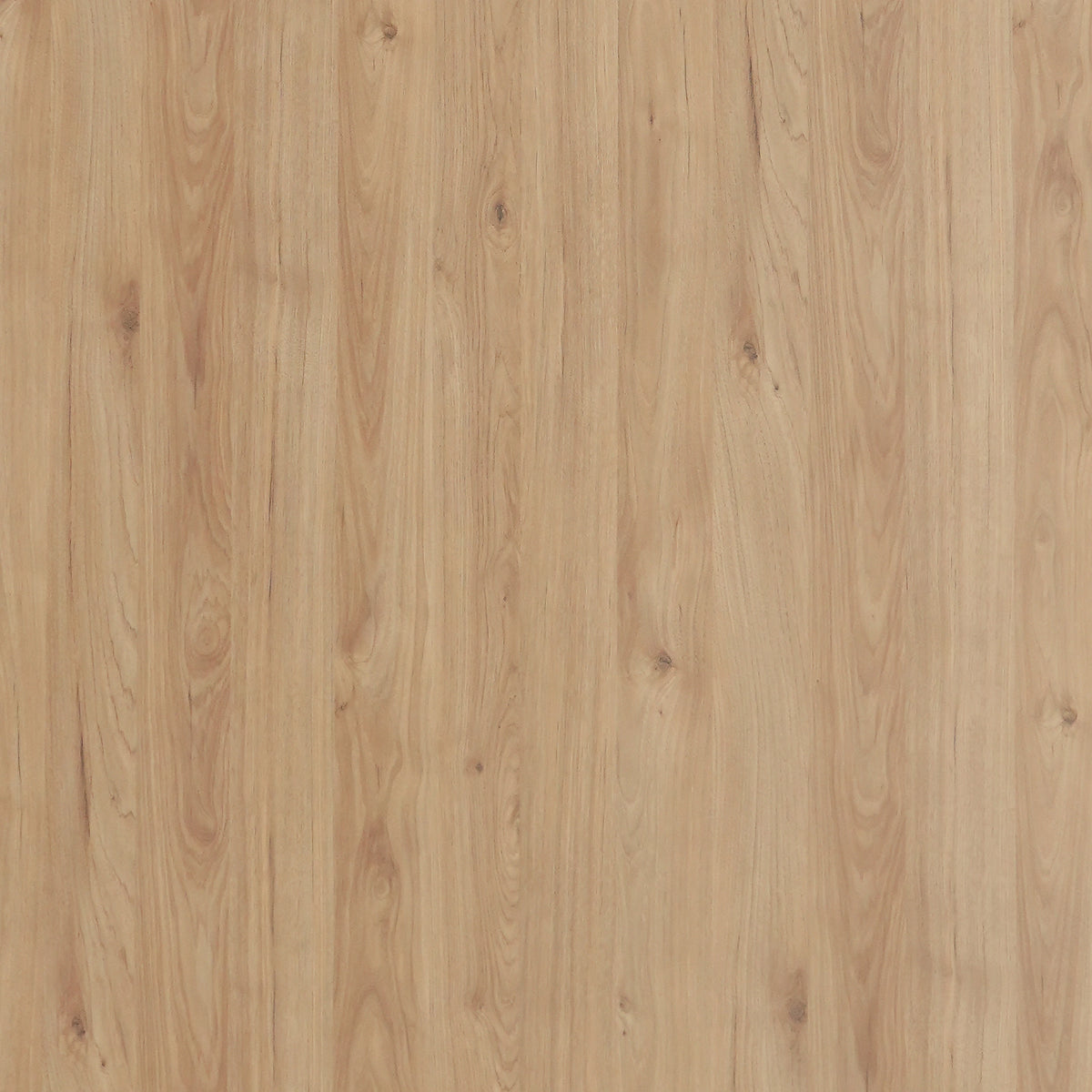 WP216_20DM_668662e6-61bc-406e-