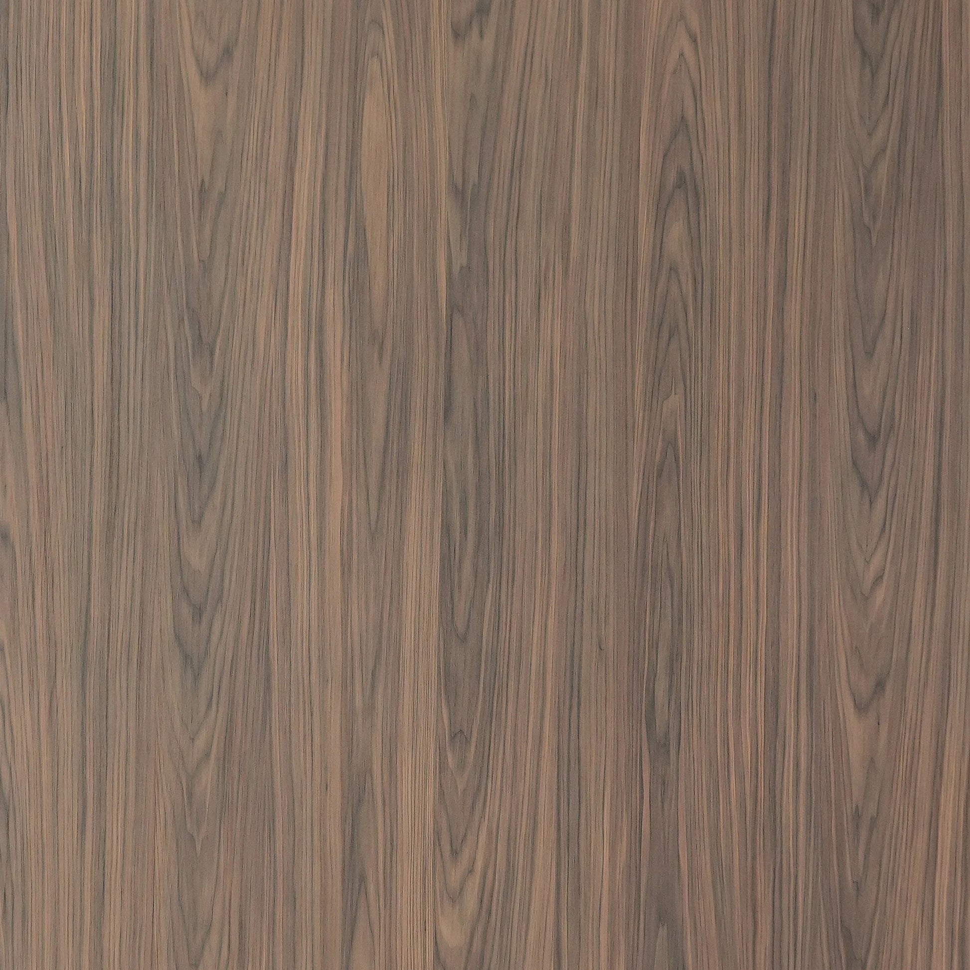 Aica Sunmica Sakura - WP231 - Royce Dark Walnut - 1mm 8ft x 4ft